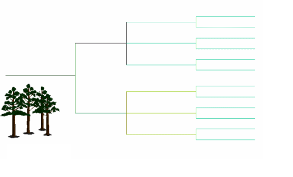 proctree
